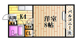 観ビル 1Kの間取図画像