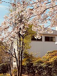 東久留米市前沢4丁目　中古一戸建