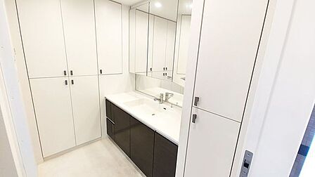 充実しすぎてる収納スペースを備えた洗面
