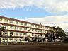 周辺：三島市立南小学校 徒歩10分。 780m