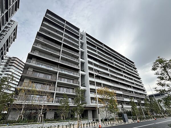 晴海フラッグ サンビレッジ B棟（HARUMI FLAG） 11F｜東京都中央区晴海５丁目(賃貸マンション3LDK・11階・72.28㎡)の写真 その1