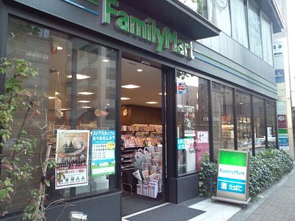 マイプレジール広尾 1103｜東京都渋谷区広尾５丁目(賃貸マンション1K・11階・29.17㎡)の写真 その18