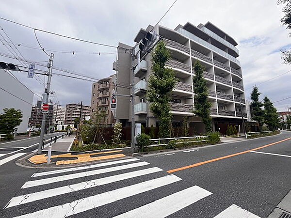 レスピール蓮根 205｜東京都板橋区坂下２丁目(賃貸マンション1LDK・2階・38.10㎡)の写真 その1