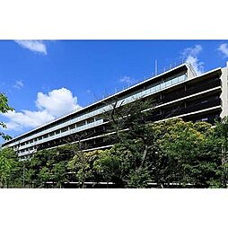 パークアクシス品川南大井パークフロント 611