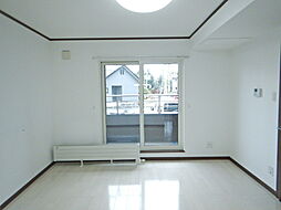 VICTORIA10 2LDKの写真