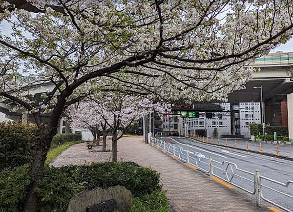 アーバネックス日本橋水天宮 ｜東京都中央区日本橋蛎殻町1丁目(賃貸マンション2LDK・7階・40.57㎡)の写真 その30