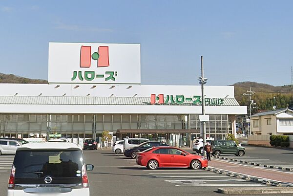 画像28:【スーパー】ハローズ 円山店まで752ｍ
