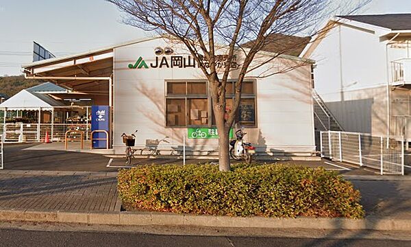 画像5:【スーパー】JA岡山 はなやか東店まで263ｍ