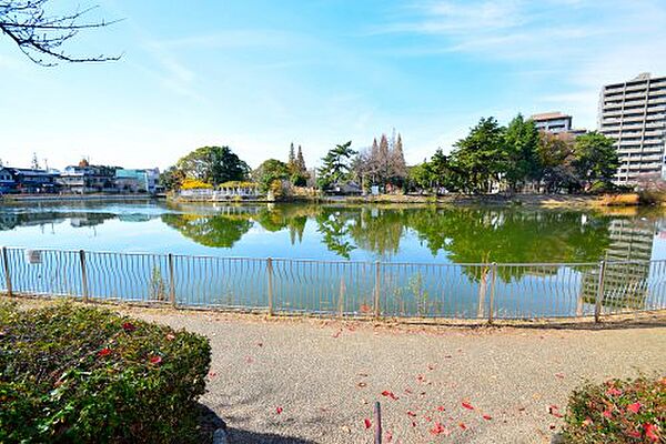 セントラルコート ｜大阪府大阪市阿倍野区阪南町4丁目(賃貸マンション1K・5階・26.13㎡)の写真 その30