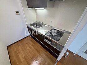 朝日プラザ北田辺  ｜ 大阪府大阪市東住吉区北田辺5丁目9-24（賃貸マンション2LDK・6階・55.00㎡） その10