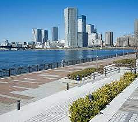 豊洲公園