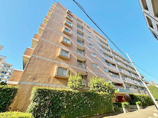 外観 サンクタス西新井 7階/-