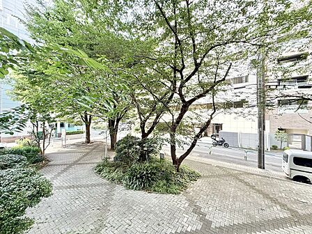 頬をなでる、優しい風を感じることが出来ます。