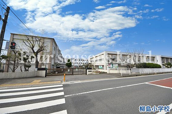 柳島小学校まで...