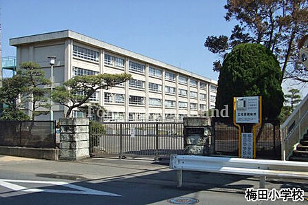 梅田小学校まで約436m