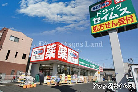 ドラッグセイムス寒川駅前店まで約1205m