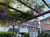 氷川みかん公園（327m）