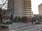 谷山公園（419m）