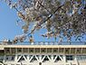 周辺：品川区立旗台小学校（540m）