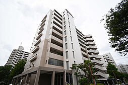 UR新川・島屋敷通り