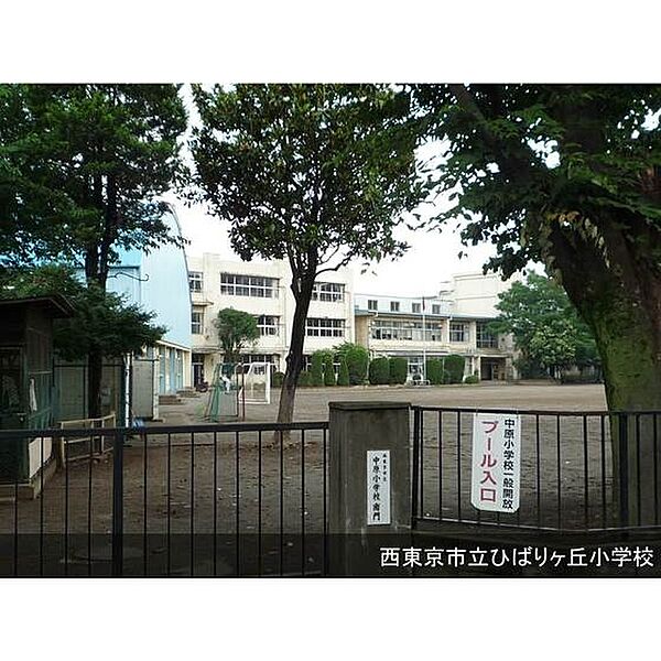 画像12:小学校「西東京市立中原小学校まで310ｍ」