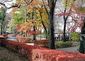 UR清瀬旭が丘  ｜ 東京都清瀬市旭が丘2丁目（賃貸マンション2LDK・5階・50.58㎡） その13