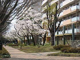 URひばりが丘パークヒルズ  ｜ 東京都東久留米市ひばりが丘団地（賃貸マンション1LDK・6階・50.12㎡） その3