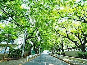 UR立川一番町東  ｜ 東京都立川市一番町6丁目（賃貸マンション4LDK・2階・102.67㎡） その14