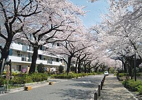 URグリーンタウン美住一番街  ｜ 東京都東村山市美住町1丁目（賃貸マンション1DK・1階・39.03㎡） その3