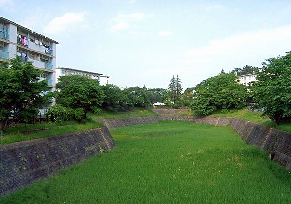 UR藤の台 ｜東京都町田市藤の台3丁目(賃貸マンション2DK・3階・39.95㎡)の写真 その3