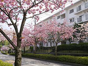 UR小山田桜台  ｜ 東京都町田市小山田桜台1丁目（賃貸マンション3LDK・4階・86.56㎡） その14