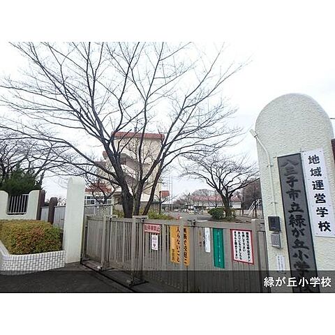 小学校「八王子市立緑が丘小学校まで243ｍ」
