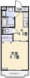 ラフィーネ 1Kの間取図画像
