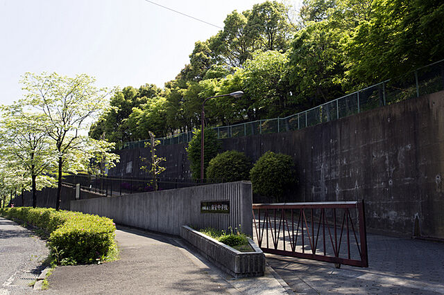 中学校「市立南菅中学校まで480ｍ」