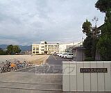 大井小学校まで96m