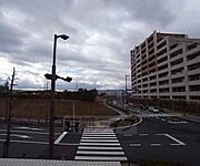 バルコニーからの風景です。
