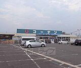 ホームセンターコーナン 京田辺店まで156m