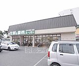 業務スーパー 深草店まで190m 裏にはイズミヤ、横にはコンビニ ここは業務スーパー