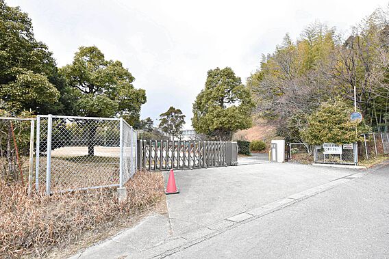 UR都市機構朝倉団地12棟_周辺_2