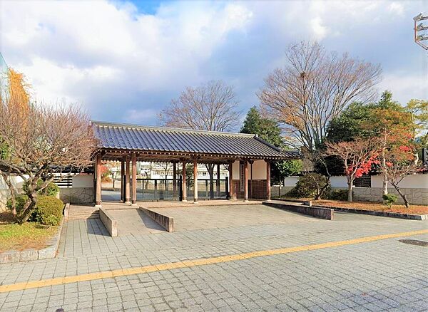 周辺を拡大表示
