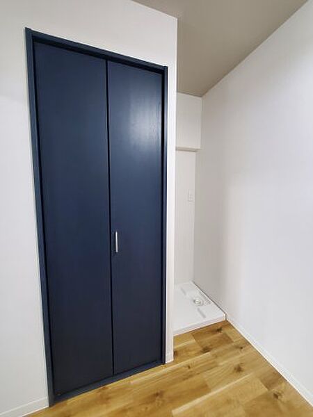 画像20:クローゼットの扉は深いブルーです。