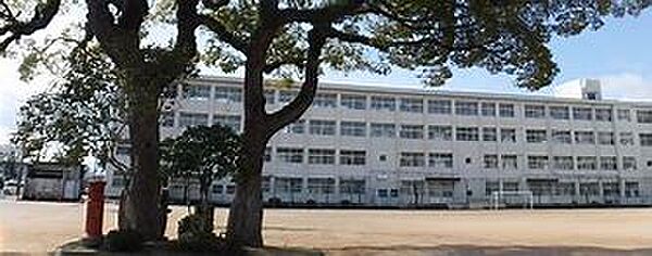 画像5:姫路市立白浜小学校