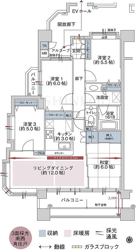間取り