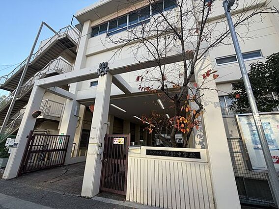 神戸市立御影中...