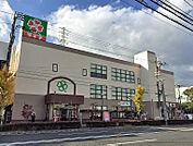 ライフ 尼崎大西店（1335m）