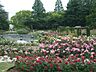 周辺：靱公園（411m）