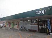 ユーコープ愛甲店(326m)