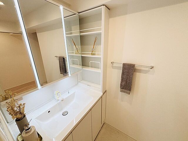 洗面 エクセル津田沼 9階/910号室