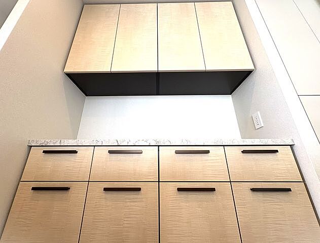 収納 パークタワー西新宿 39階/-