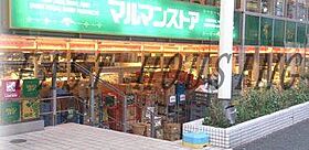 東京都新宿区西新宿８丁目（賃貸マンション1K・2階・19.86㎡） その23